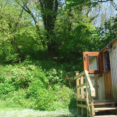 'Morris' The Shepherd'S Hut With Woodland Hot Tub Carmarthen Exterior foto