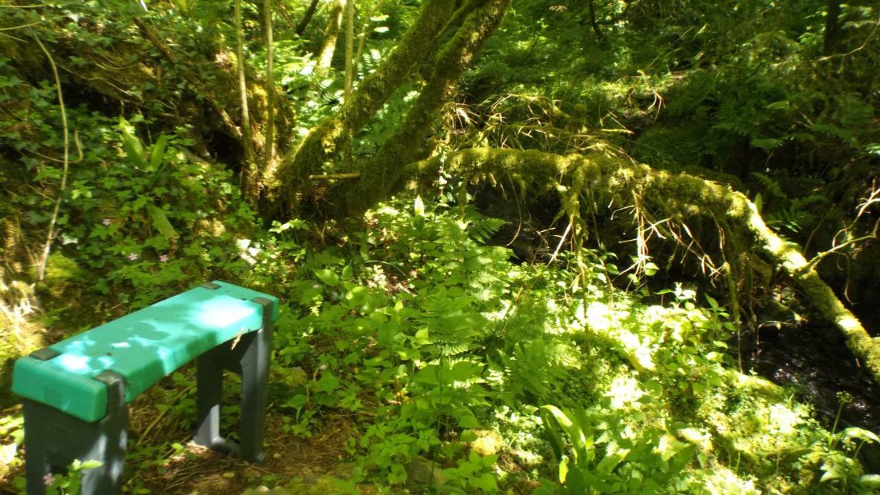 'Morris' The Shepherd'S Hut With Woodland Hot Tub Carmarthen Exterior foto