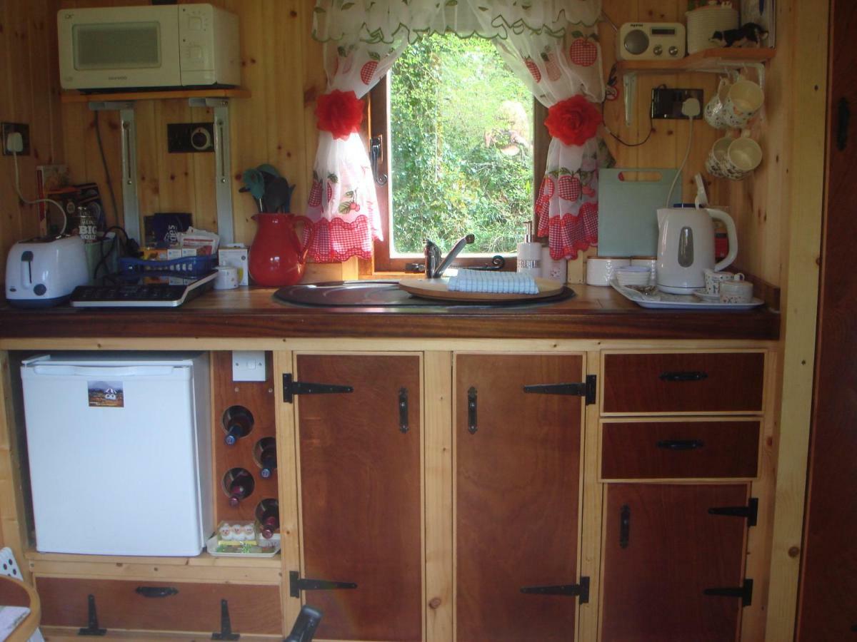 'Morris' The Shepherd'S Hut With Woodland Hot Tub Carmarthen Exterior foto