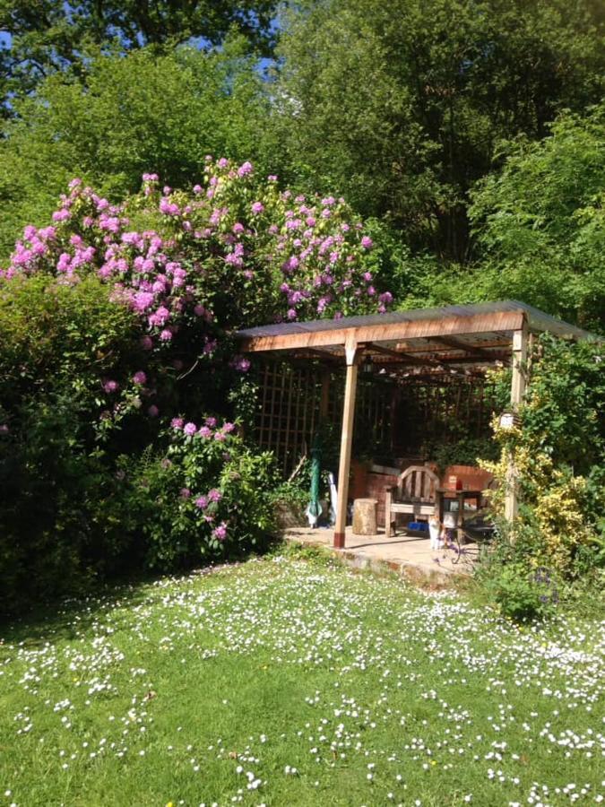 'Morris' The Shepherd'S Hut And Woodland Hot Tub Experience Carmarthen Exterior foto