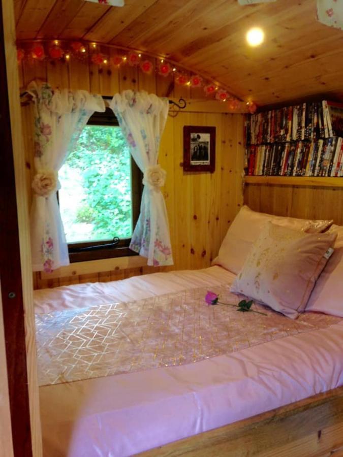 'Morris' The Shepherd'S Hut And Woodland Hot Tub Experience Carmarthen Exterior foto